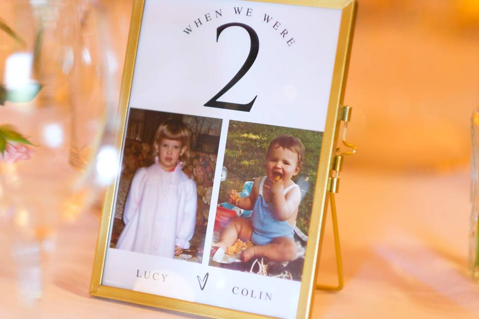 Gold frames for hire