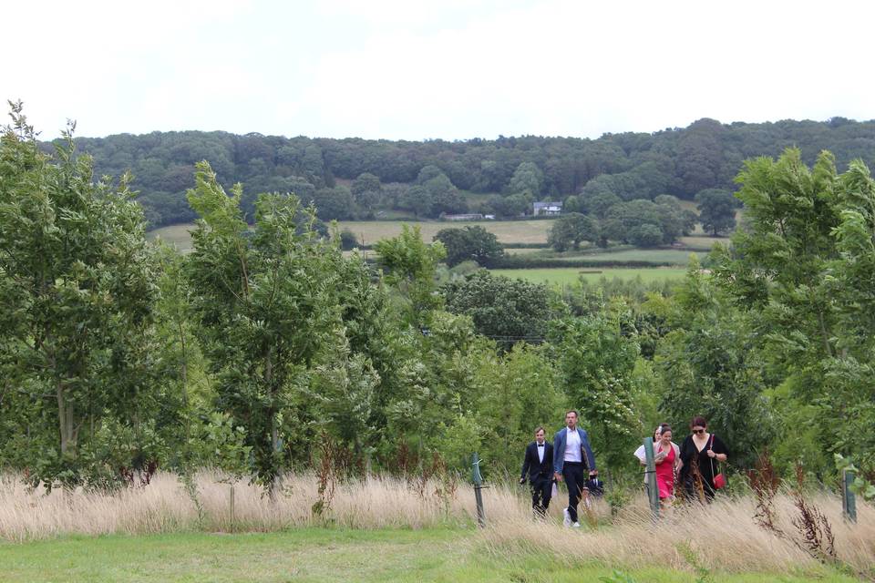 Gorgeous Devon countryside