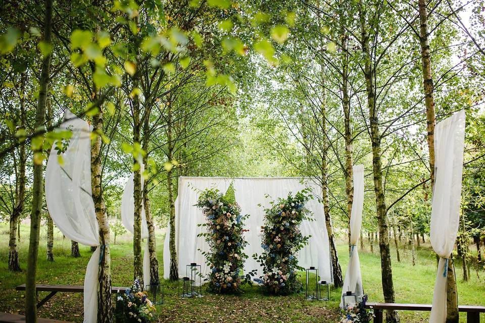 Aisle style silver birch