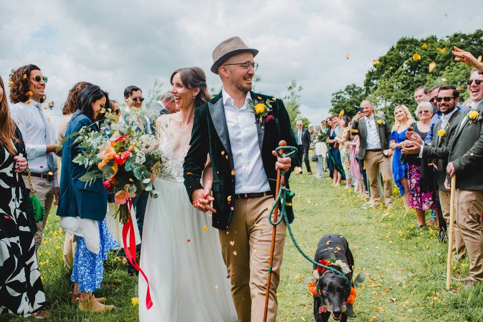 Petal confetti tunnel