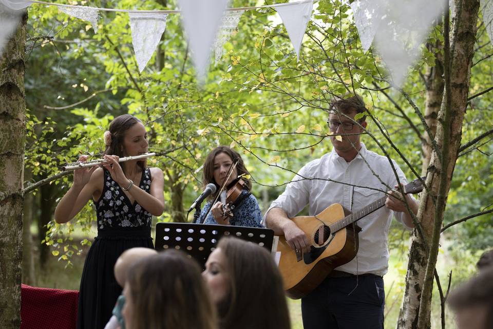 Music in the woodland