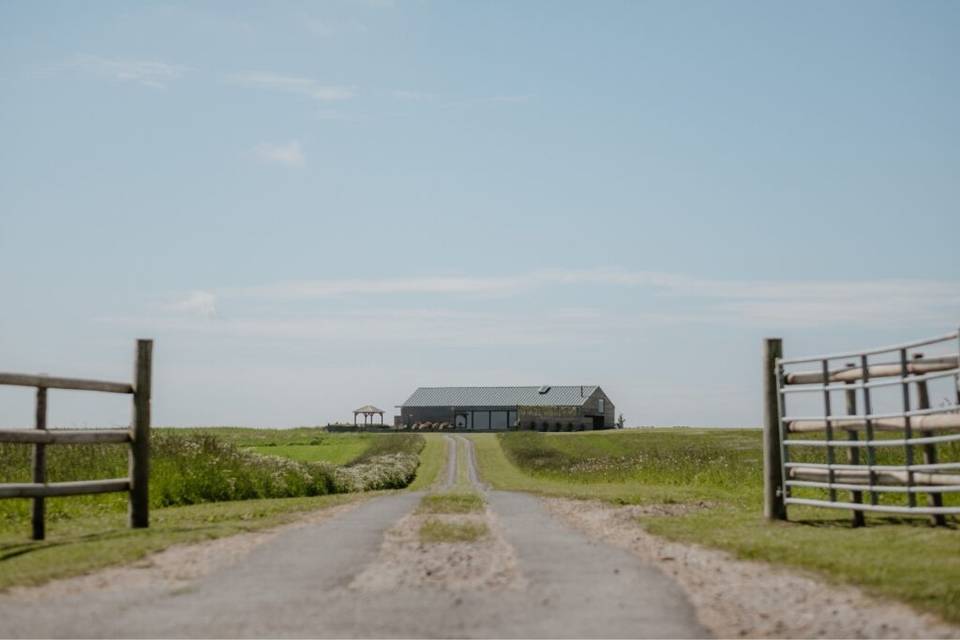 The driveway