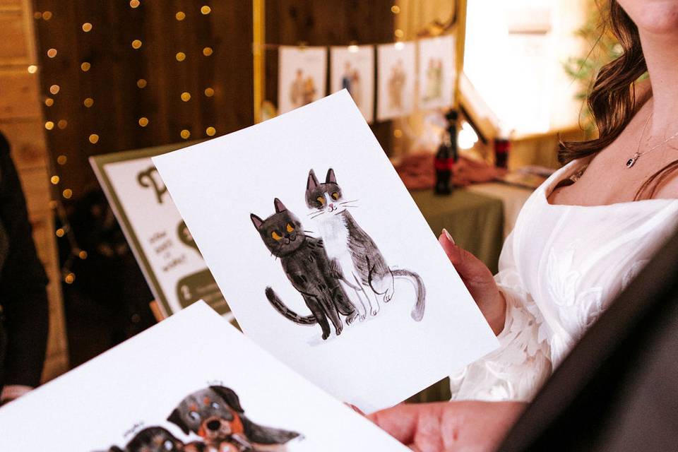 Pet portraits