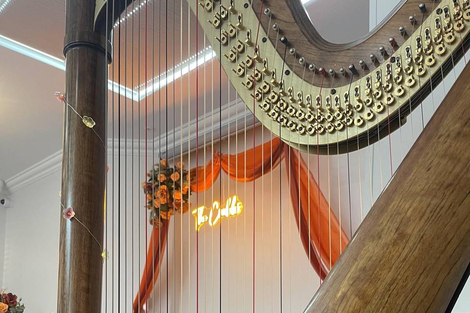 Milford Hall Hotel view harp 1
