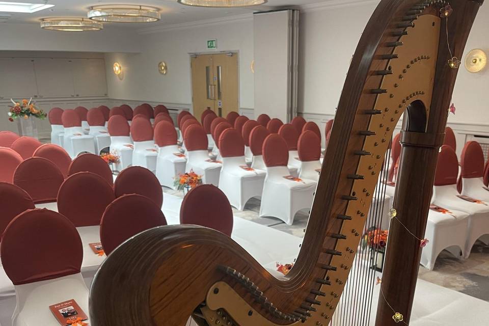 Milford Hall hotel view harp 2