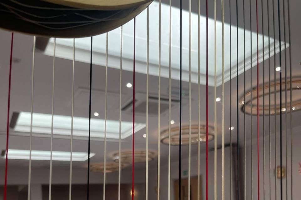 Milford Hall through strings