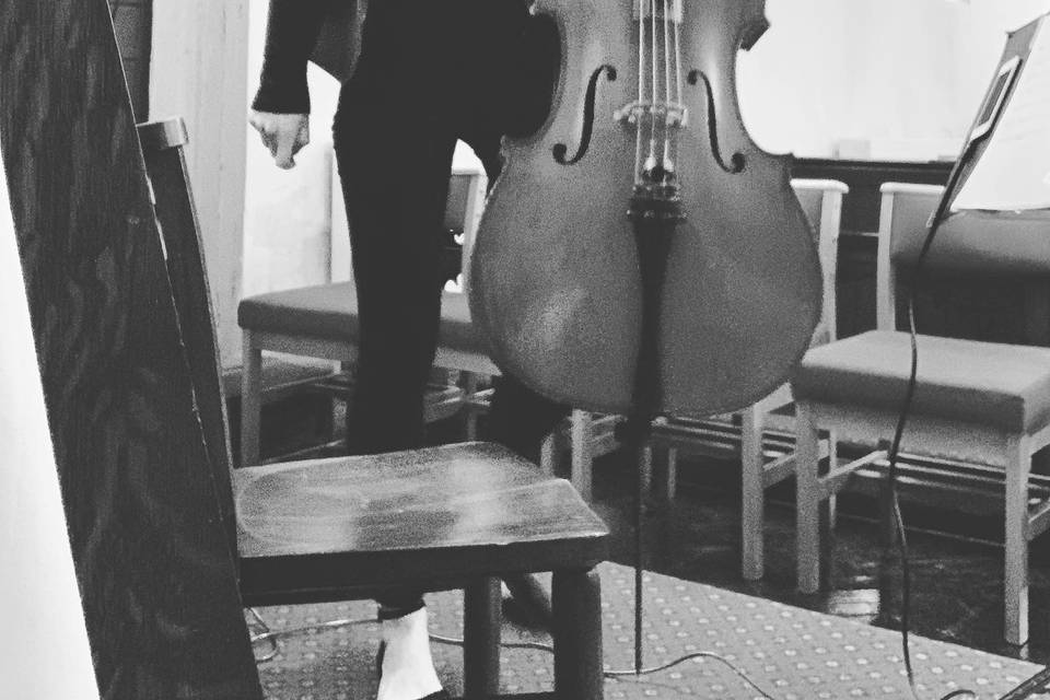 Bethany Morris, cellist