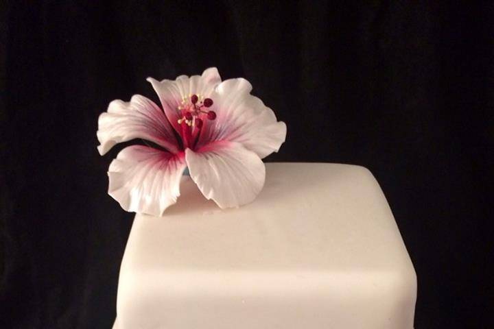 Sugar hibiscus & diamante cake
