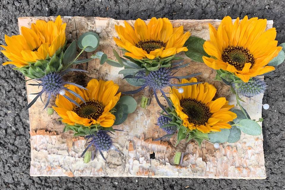 Sunflower buttonholes