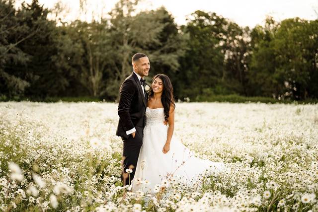 Summer meadow photography