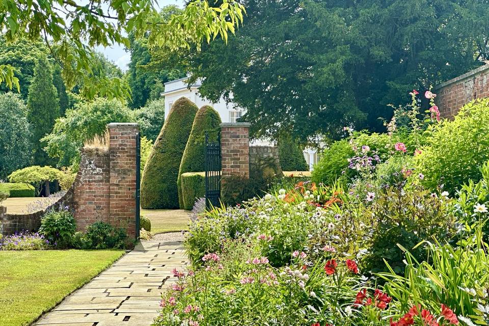 Summer garden