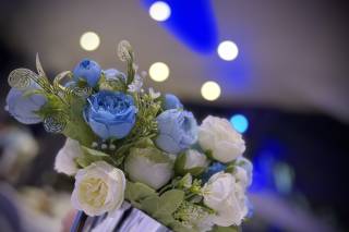 MSRPHOTOGRAPHY