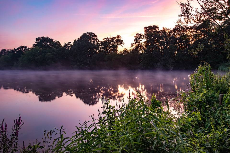 Lake view