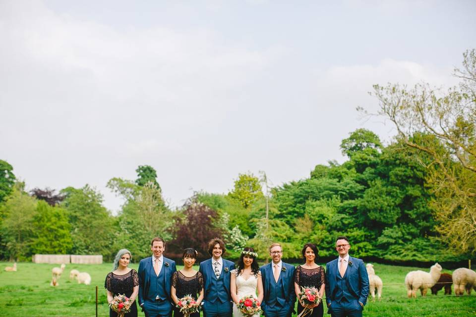 Bridal Party with Animals