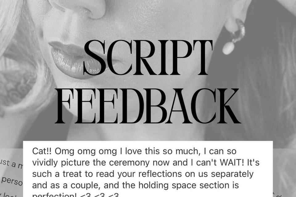 Script Feedback
