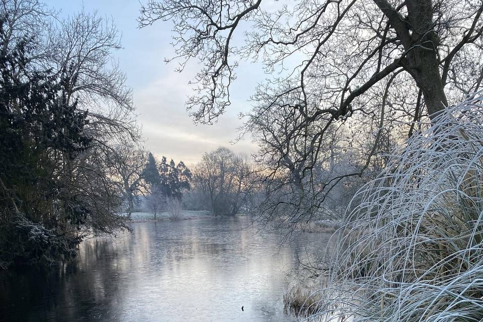 Frosty morning