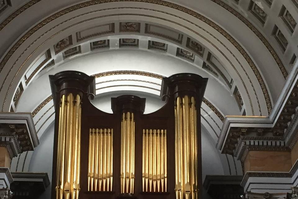 The organ