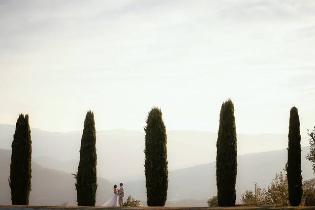 Bride and groom and cypresses