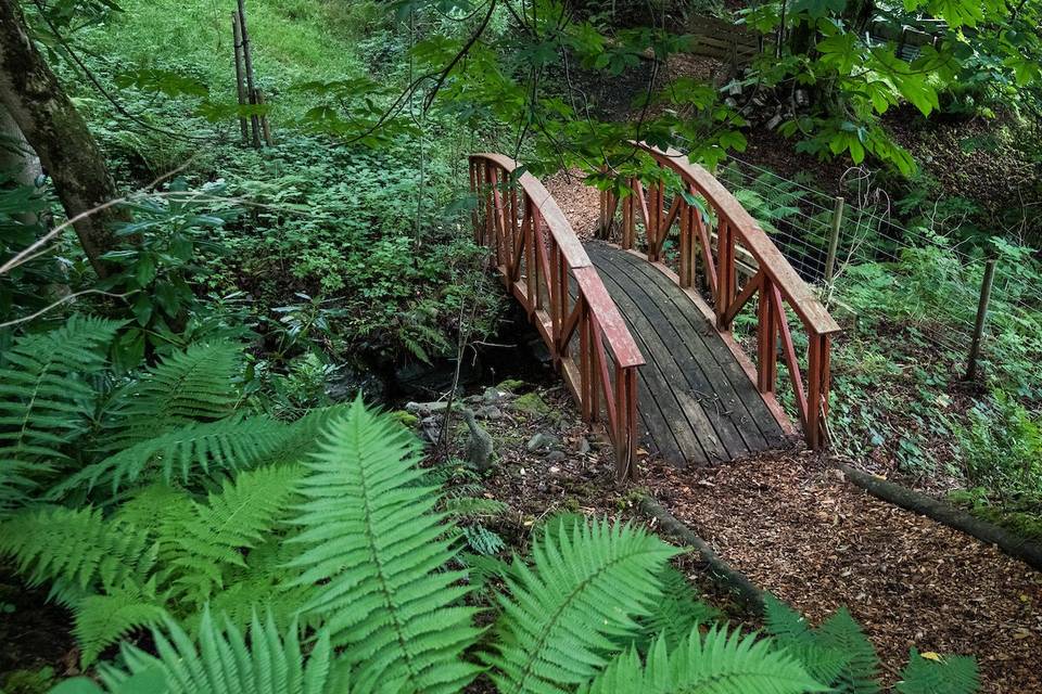 Bridge in woodland