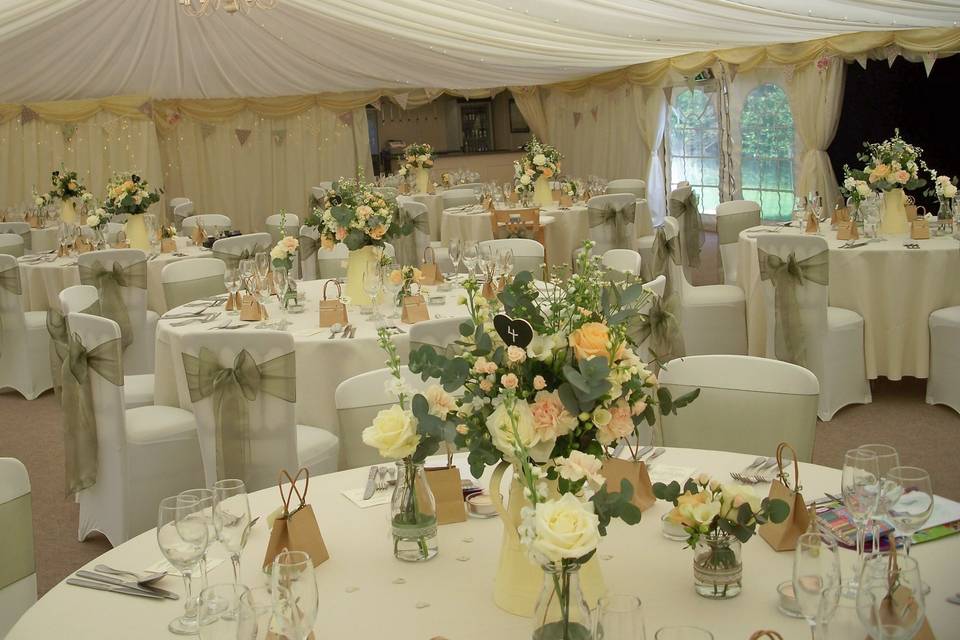 Hedingham Castle  Ivory Stretch Lycra Chair Covers with Dark Sage Green Organza Sashes