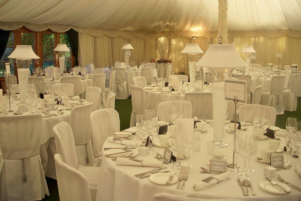 Newland Hall White Linen Chair Covers with Silver Metallic Tassel Ties