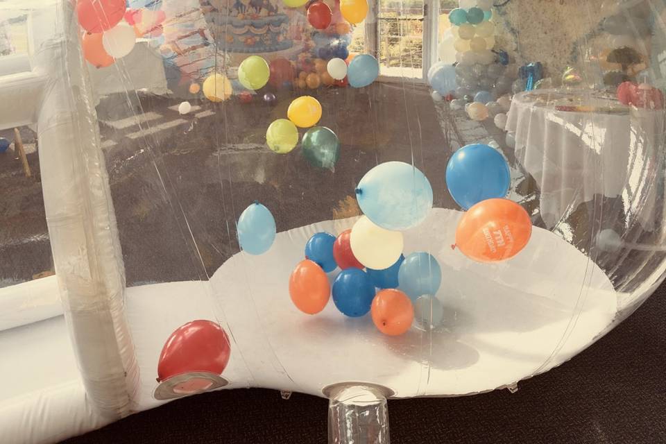 Party 2026