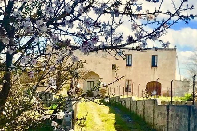 Masseria San Sebastiano