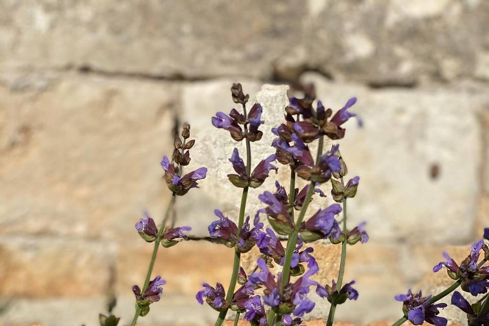 Masseria San Sebastiano