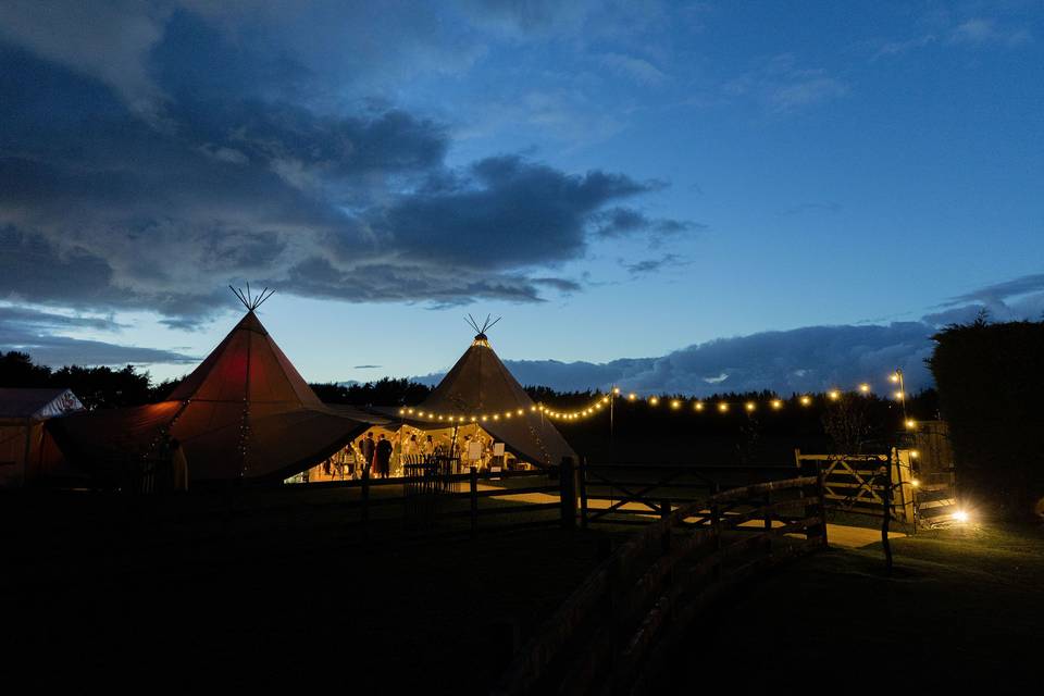 Festoon lit walkway