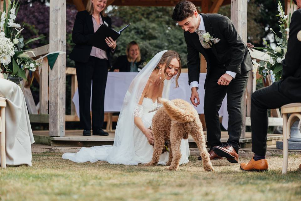 Ceremony dog