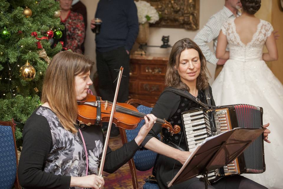 Violinist & accordion