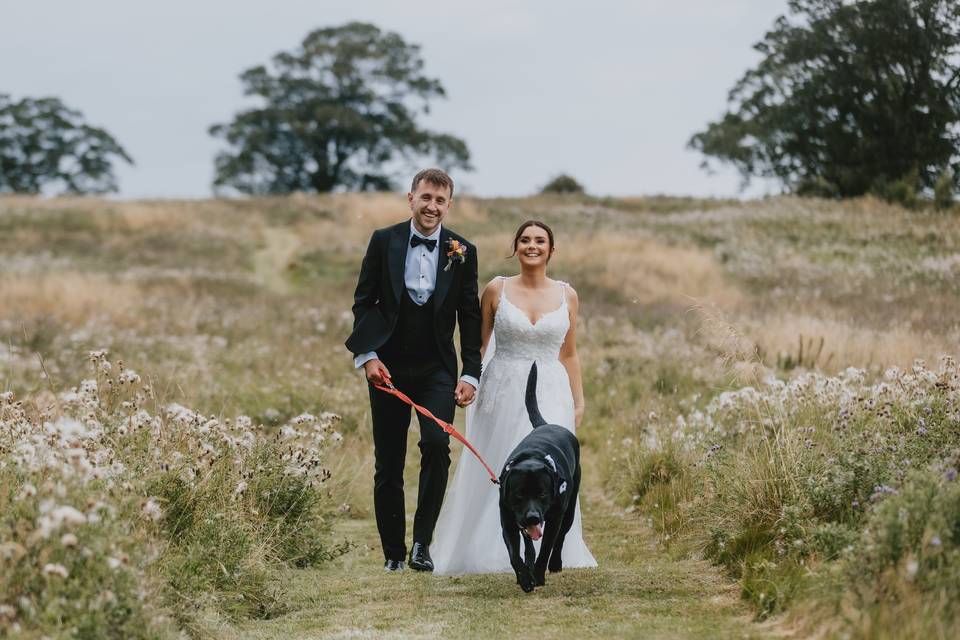 Four Legged Guests