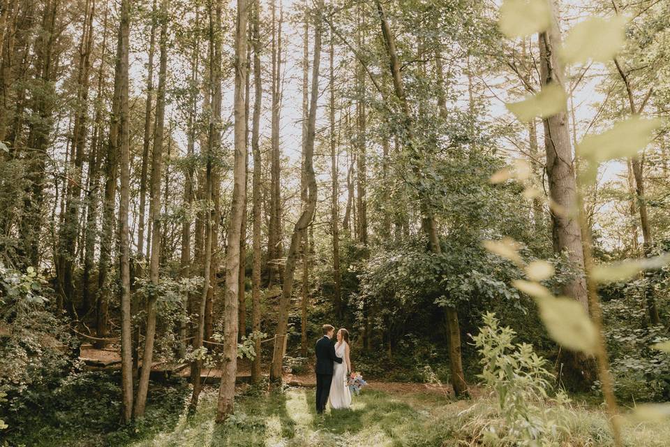 The Woodland