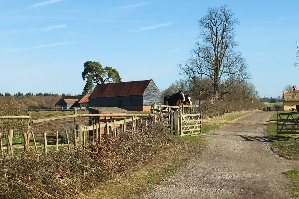 View down museum site