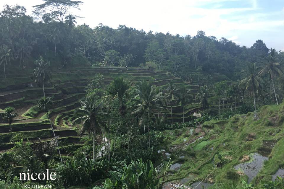 Bali