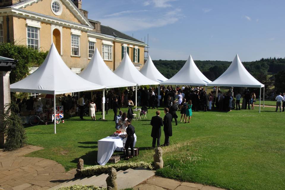 Berry Marquees