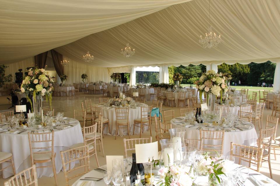 Berry Marquees
