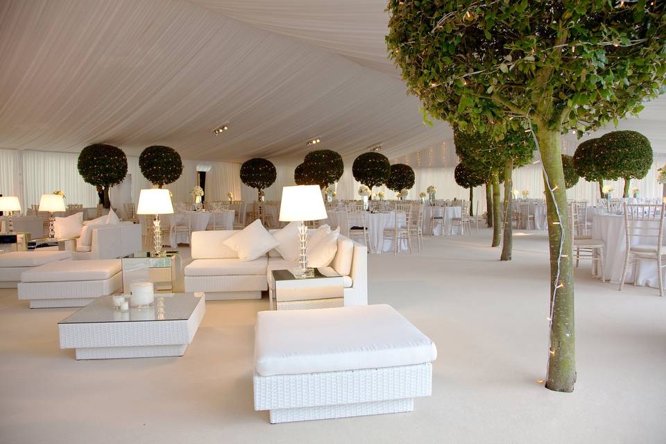 Berry Marquees