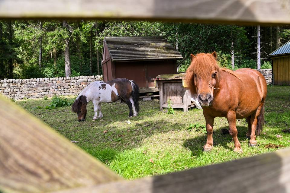 Lineham Farm Weddings