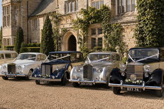Beautiful line up