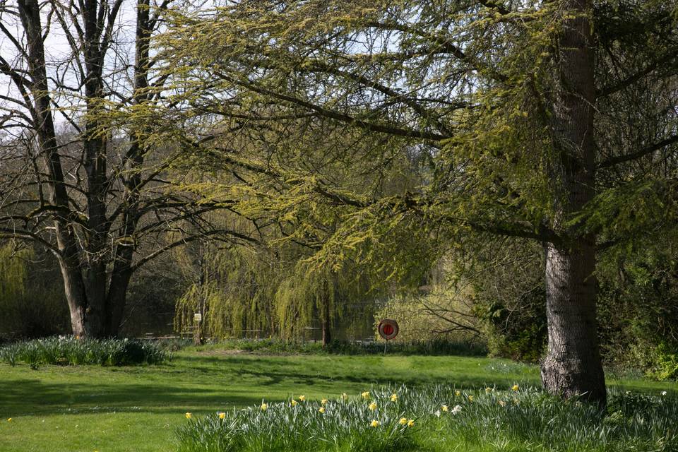 The Surrounding Grounds