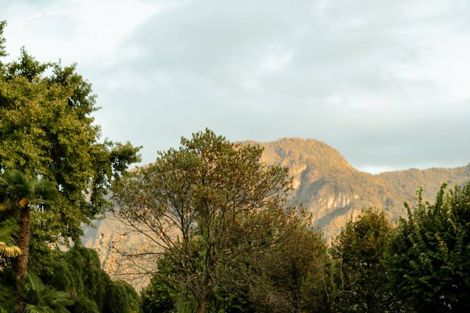 Dorset Wedding Photographer