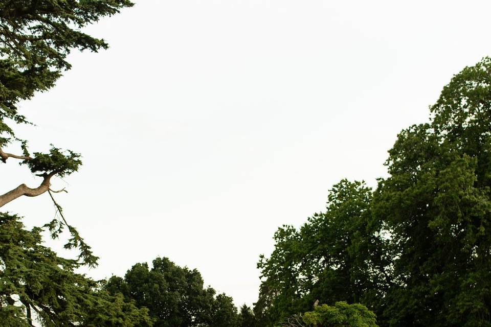 Dorset Wedding Photographer