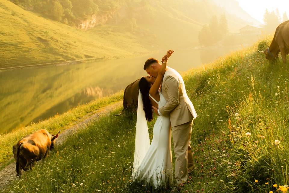 Dorset Wedding Photographer