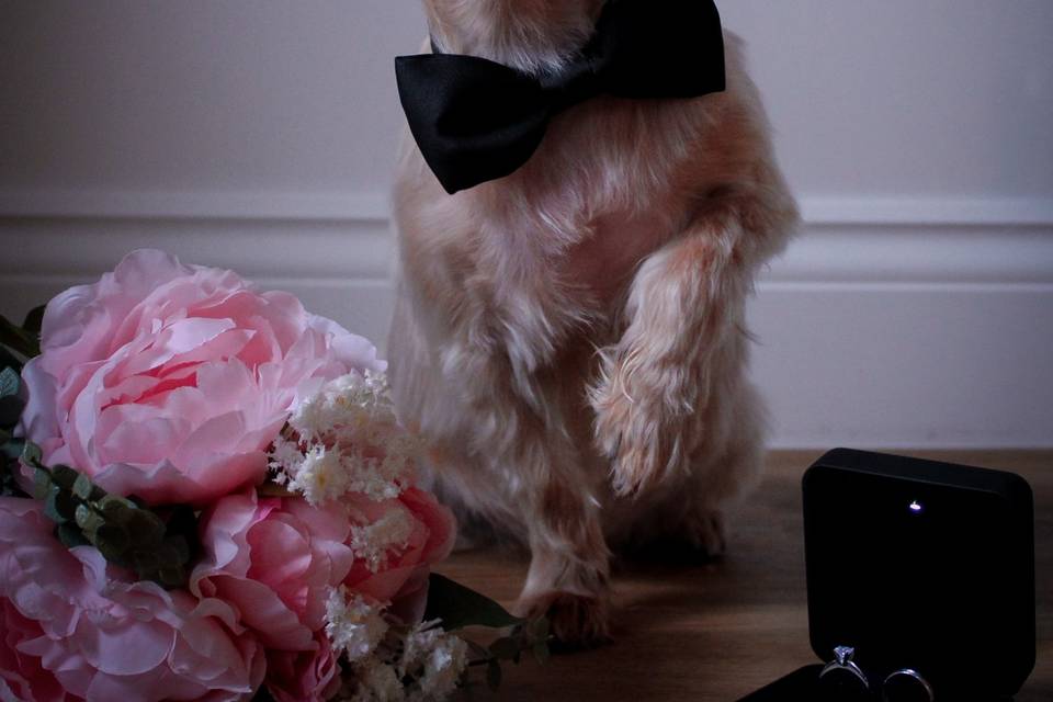 The little one is ready