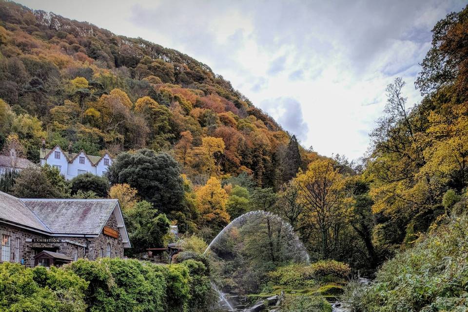 Glenlyn Gorge