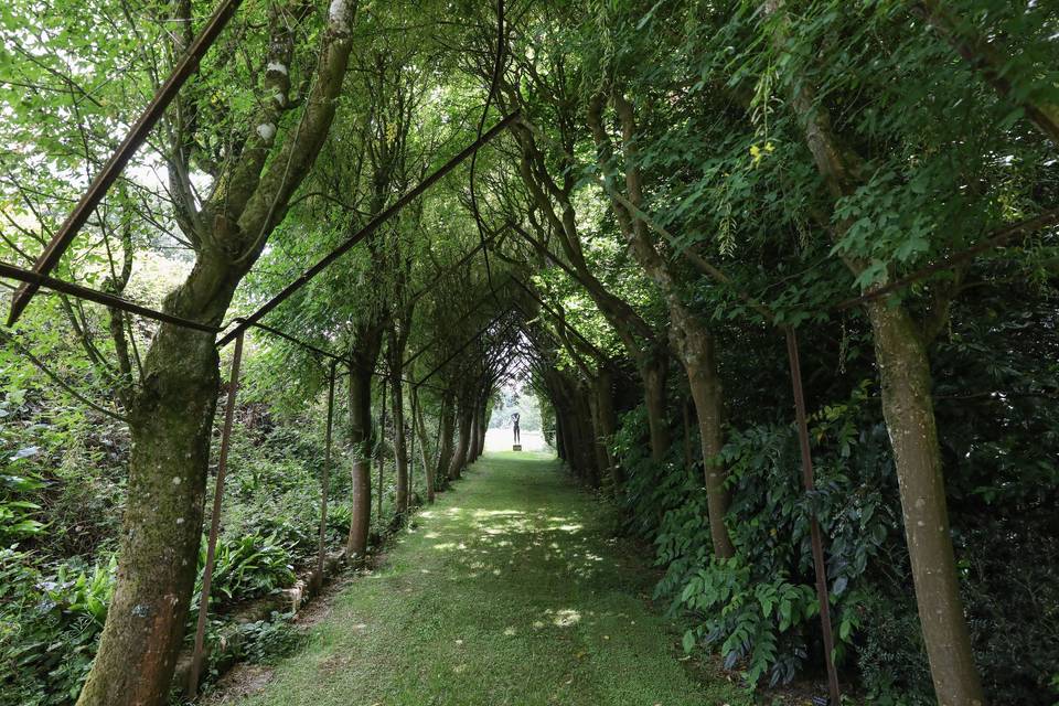 Romantic arbour walkway