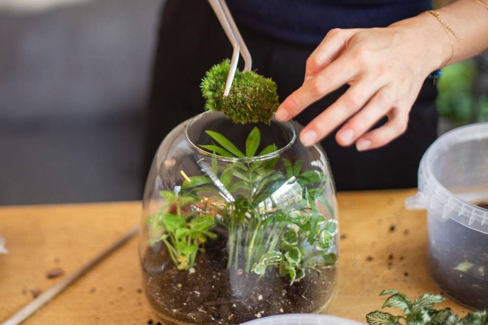 Terrarium class London