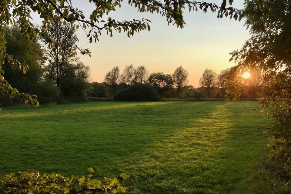 Sunset in the River Meadow