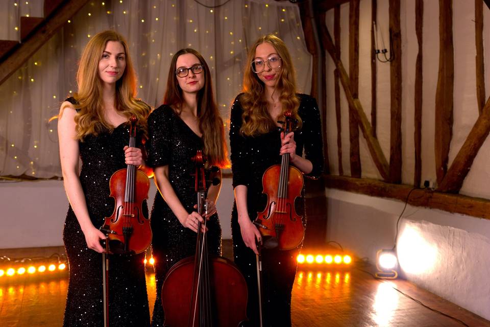 Griff Strings Acoustic Trio